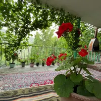 ویلای جنگلی سرچشمه روستای خاک پیرزن علی آباد کتول|اجارهٔ کوتاه‌مدت ویلا و باغ|علی‌آباد کتول, |دیوار