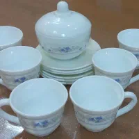 ظروف آرکوپال گل آبی و ملامین ولباس