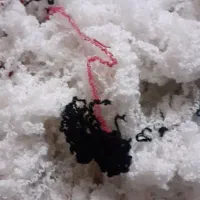 نخ کاموا