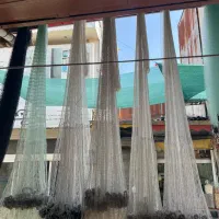 ماشگ ماهی گیری