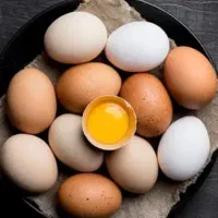 زرده تخم مرغ مخصوص کاک پزی