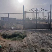 باغ  نزدیک به جاده