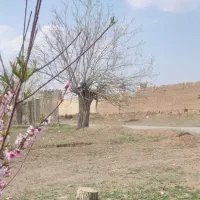 زمین زراعی قاضی۱۰۰۰متری