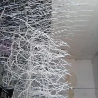 شاخ گوزنی و وال پست
