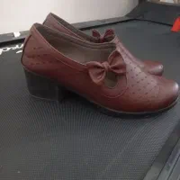 کفش در حدنو