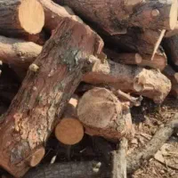 خرید چوب و ضایعات چوب