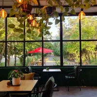 دورهمی