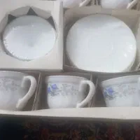 ظروف پذیرایی