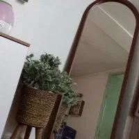 اینه سالم سالم