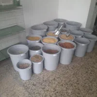 کفتر|پرنده|تهران, شارق|دیوار