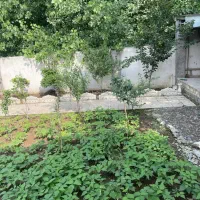 ۱۲۰ متر زمین در فخب منطقه ۱ رشت