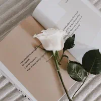 قبول حق انشالله