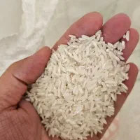 خوش طعم و نرم برنج پاکستانی ارسال رایگان