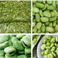 باقالی تازه