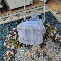 کالسکه|کالسکه و لوازم جانبی|قوچان, |دیوار