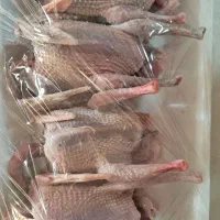 گوشت کفتر