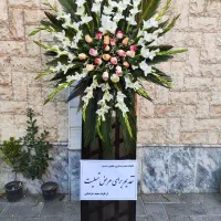 مستقیم از پخش کننده پایه گل اقتصادی