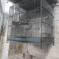 سهره خاکی ملیح