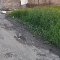 زمین ۱۴۶متری