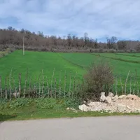 ۳۰۰۰ متر زمین آینده روشن در دل طبیعت|فروش زمین و ملک کلنگی|تهران, جنت‌آباد جنوبی|دیوار