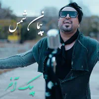 خواننده نوازنده دیجی حرفه ای برای اجرای زنده