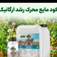 کود مخصوص افزایش بار سیب زمینی