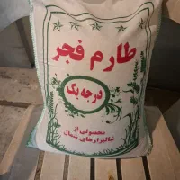 برنج طارم فجر و برنج فجر