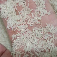 سوزنی فجر عمده