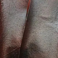 لواشک خونگی