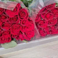 گل رز طبیعی