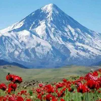 جذب محتوا نویس انگلیسی