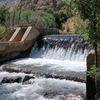 خرید چوب ب بالاترین قیمت