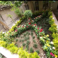 خدمات باغبانی فروش گل کاشت گل تعویض خاک گلدان