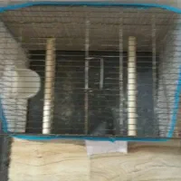 قفس پرنده