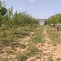باغ شهر سلطانیه