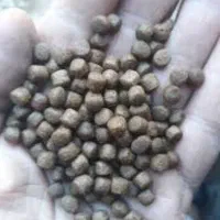 غذای ماهی