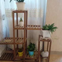 استند گل آپارتمانی