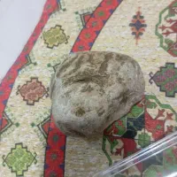اسم الله بصورت طبیعی ومعجزه
