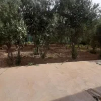 فروش-خانه-باغ-دونبش-برخیابان-در-غیاث-اباد