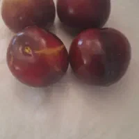 آلو سیاه