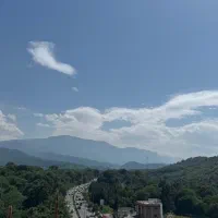 ۱۸۰مترپنت‌هاوس‌باویوابدی‌جنگل/نخونی‌ضررکردی/فوول