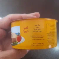 تن ماهی صادراتی ژولی