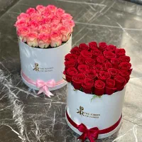 باکس گل|گل و گیاه طبیعی|شیراز, شهرک ولیعصر|دیوار