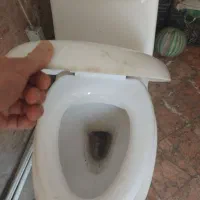توالت فرنگی درحدنو