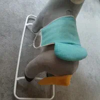 یک عدد اسب الاکلنگ