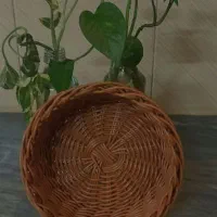 سبد