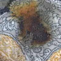 رفوگری. فرش. کمالی.