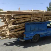 خرید چوب تر و خشک نقدی