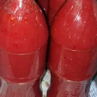 رب خانگی تمیز و سالم دانه ای 400