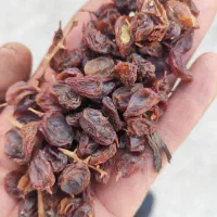 کشمش. مویز